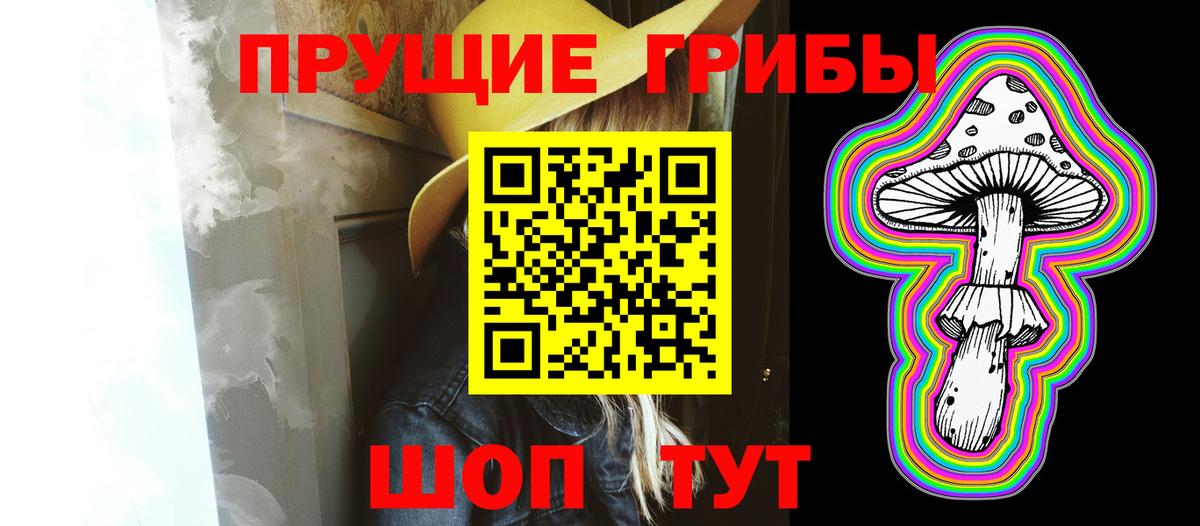 Псилоцибиновые грибы Psilocybine cubensis Волгодонск